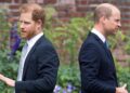 Prince Harry gets 'opportunity for peace treaty' with William at major UK event | Royal | News