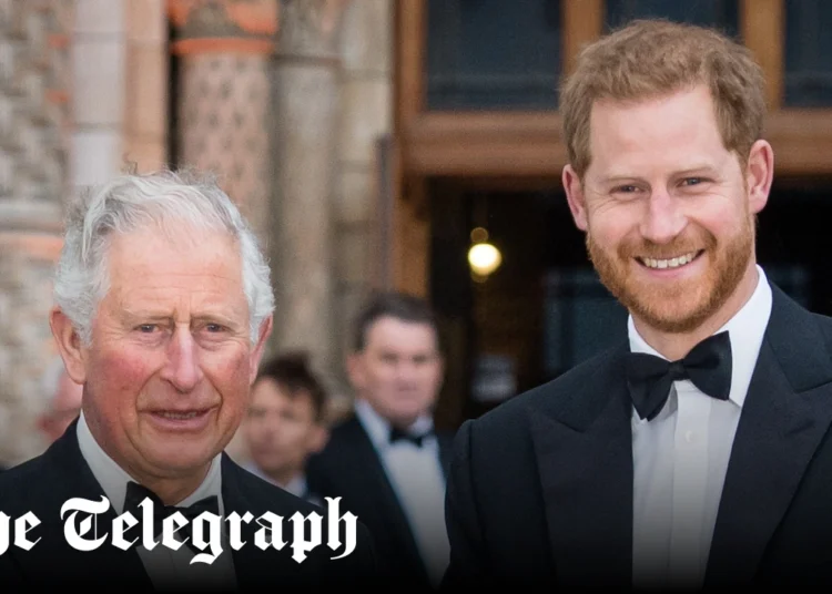 Prince Harry has no plans to see his father King Charles during UK trip
