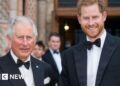 Prince Harry not planning to meet King on next trip to the UK