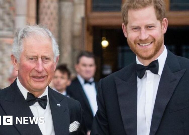 Prince Harry not planning to meet King on next trip to the UK