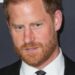 Prince Harry’s Family Estrangement Had a ‘Painful’ Side, Royal Author Claims