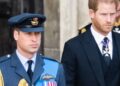Prince William & Prince Harry Are ‘Worlds Apart,’ Says Royal Author