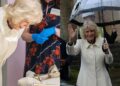 Queen Camilla fights to be crowned the hardest-working royal