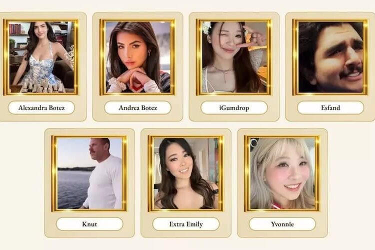 A graphic showing the streamers involved in the Million Dollar Show.