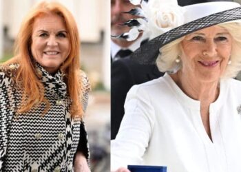 Sarah Ferguson has been 'drowning her sorrows in booze during her dwindling days in Windsor's Royal Lodge.'MEGA
