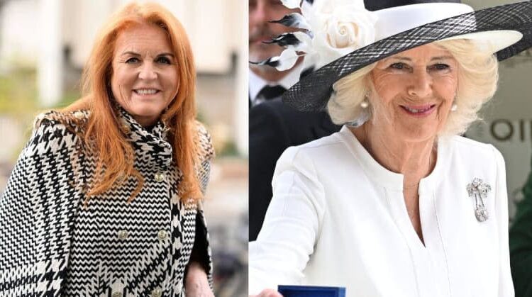 Sarah Ferguson has been 'drowning her sorrows in booze during her dwindling days in Windsor's Royal Lodge.'MEGA