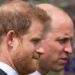Royal Family LIVE: William's 'move shows there's no way back' with Prince Harry | Royal | News