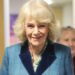Royal Family Shares Super Striking Queen Camilla Photo After New Painting Revealed