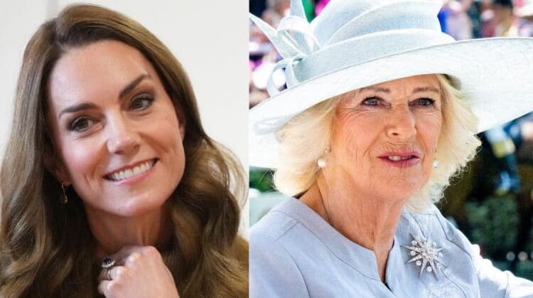 Kate and Camilla face a royal showdown as the future queen smacks down her rival amid palace tensions.MEGA