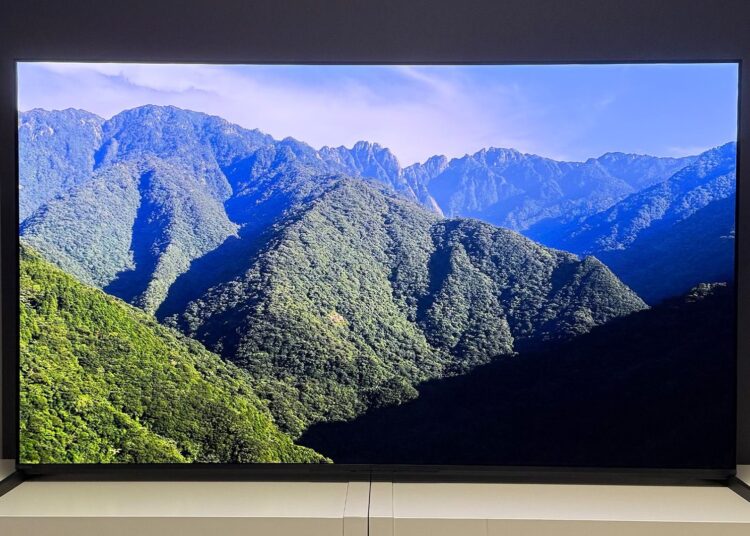 The 55-inch Sony Bravia 8 II QD-OLED TV photographed on a white table. On the screen is a nature documentary.