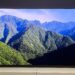 The 55-inch Sony Bravia 8 II QD-OLED TV photographed on a white table. On the screen is a nature documentary.