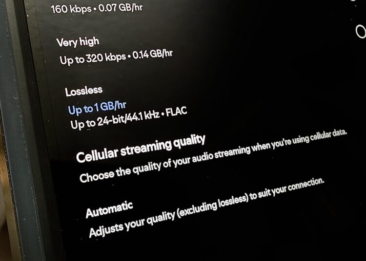 Spotify lossless audio menu option