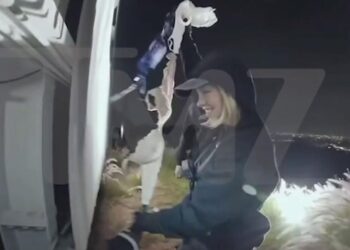 Sydney Sweeney climbs Hollywood sign to hang up bras -- and falls foul of angry locals