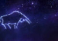 Taurus Horoscope Today, January 22, 2026: Keep your wallet closed for impulse buys