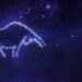 Taurus Horoscope Today, January 22, 2026: Keep your wallet closed for impulse buys
