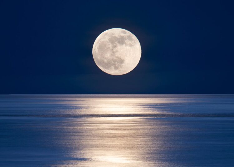The New Moon In Capricorn 2026 Horoscope Is Here