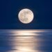The New Moon In Capricorn 2026 Horoscope Is Here