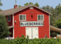 Using Music Videos to Promote Farm Events and Agritourism