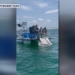 Viral manta ray video sparks legislation to ban captures for entertainment in Florida