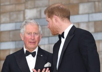 Why King Charles Plans to Snub Prince Harry on USA Visit