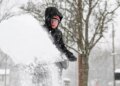 Why all this snow can actually protect your plants from cold weather