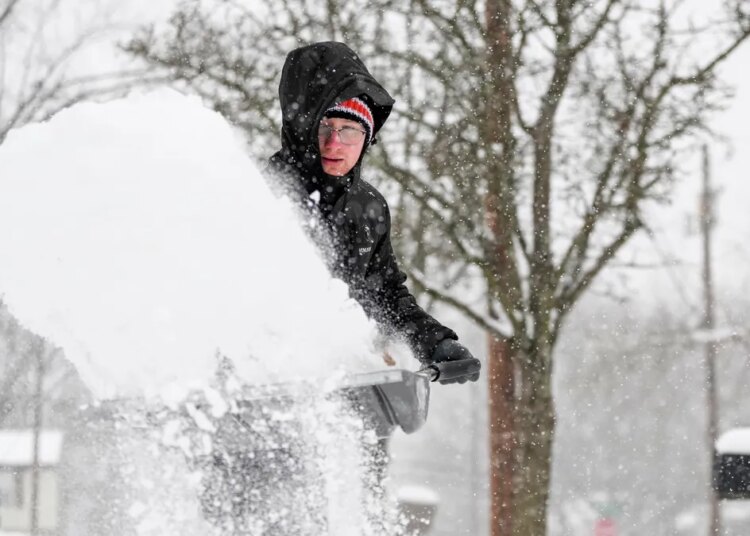 Why all this snow can actually protect your plants from cold weather