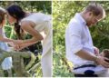 Will Prince Harry be a working royal again for Archie, Lilibet’s royal prospects? Expert answers