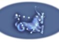 Capricorn
