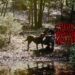 Zach Bryan Confirms Full 25-Song Tracklist For New Album, ‘With Heaven On Top,’ Ahead Of Tomorrow’s Release