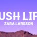 Zara Larsson – Lush Life (Lyrics)