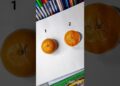 Drawing Tangerine with Acrylic colour #art #ytshorts #drawing #youtubeshorts #trending #viral#artist