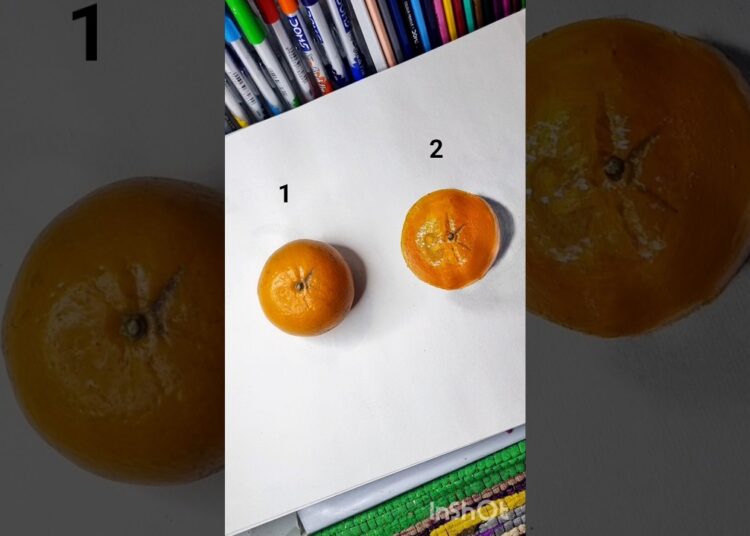 Drawing Tangerine with Acrylic colour #art #ytshorts #drawing #youtubeshorts #trending #viral#artist