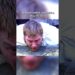 Edward Stafford’s execution #history #royal #royalty #viral #shorts #king #queen #henryviii #tudor