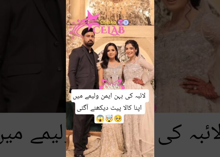 Laiba Khan Beautiful Walima Look #laibakhan #wedding #celebrity #foryou #dress #ytshorts