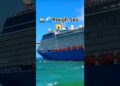 🚢😇CELEBRITY CRUISES SAILING BAD SEA🌊