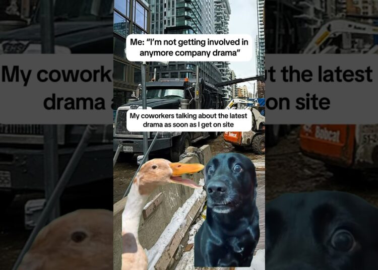 I love it😅 #work #drama #joke #job #bluecollar #working #construction #gossip