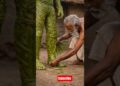 papm wala dhoni | Village palm artist #artist