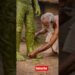 papm wala dhoni | Village palm artist #artist