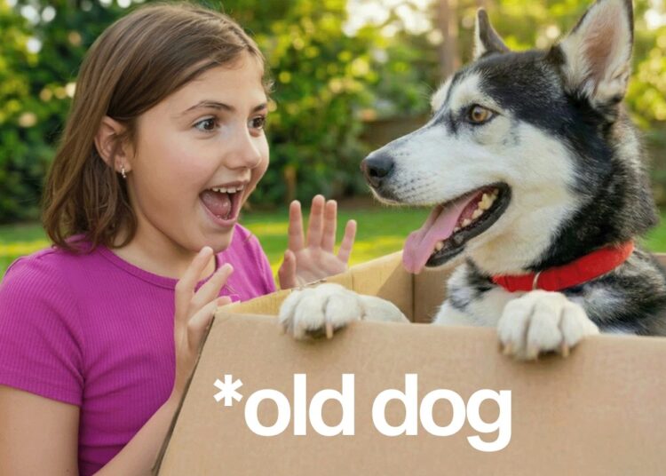 We Reunited with our Dog After Years!