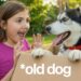 We Reunited with our Dog After Years!