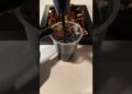 Versace Eros Najim Broken Bottle Art…..#satisfying #perfume #cologne #art #artist #asmr #diy