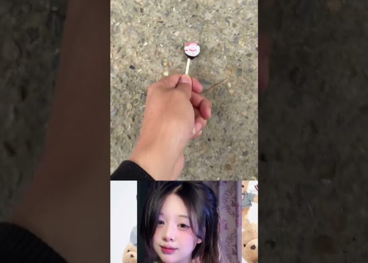 That’s awesome! #song #music #love #songwrite #songlove #trump #duet #korean
