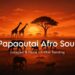 Papaoutai (Afro Soul) – Stromae | Mikeeysmind | Tiktok Trending Version