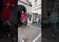 Royal Rejection: Tourist’s Attempt to Feed Regal Horse Denied by King’s Guard!” #ShortsFeed