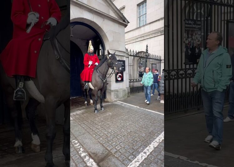 Royal Rejection: Tourist’s Attempt to Feed Regal Horse Denied by King’s Guard!” #ShortsFeed