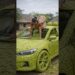 From Leaves to Car | Handmade Village Art #ai #artist #art #bmw