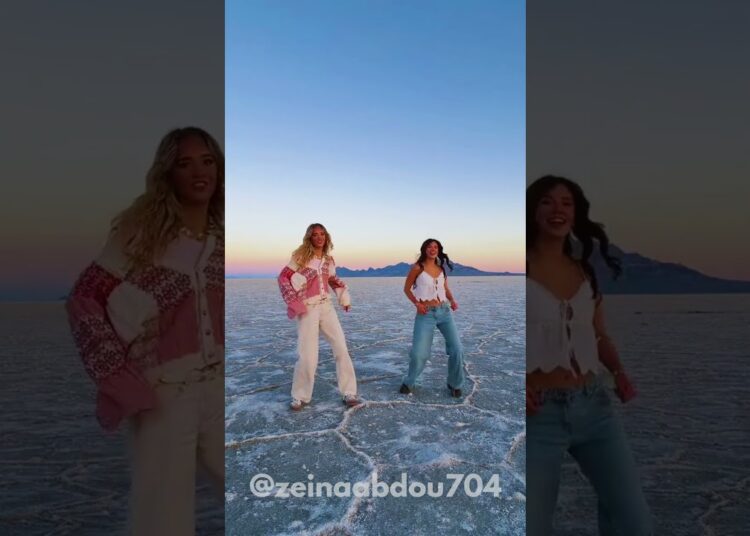 NEW 2026 TikTok Dance Mashup Trend | #viralmusic #dance #viral #mashup #2026 #music #zeinaabdou 🎧🎵🎶