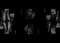 Bayadis, Manal & Shaw – NGHAMER (Visualizer)