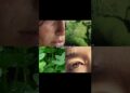 ​Pov: Nature is the best artist and you are the canvas🍃✨​#shorts
