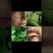 ​Pov: Nature is the best artist and you are the canvas🍃✨​#shorts